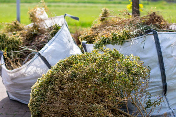 Best Junk Removal Near Me  in Corte Madera, CA